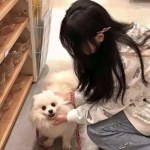 我的夜间驾驶最新版下载